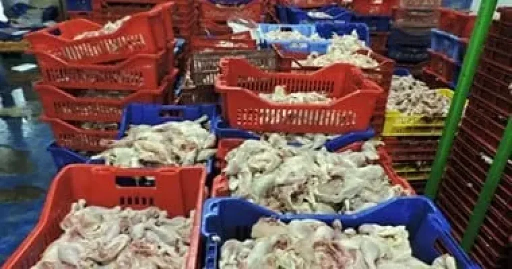 المضبوطات 
