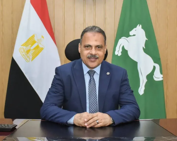 محافظ الشرقية 