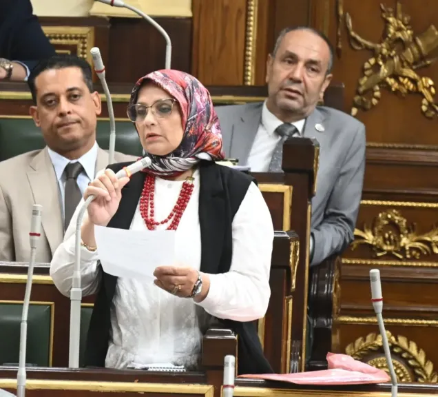 النائبة نجلاء العسيلي 