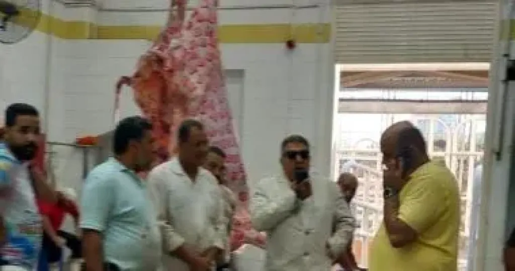 جانب من جولة محافظ الدقهلية داخل أحد المجازر