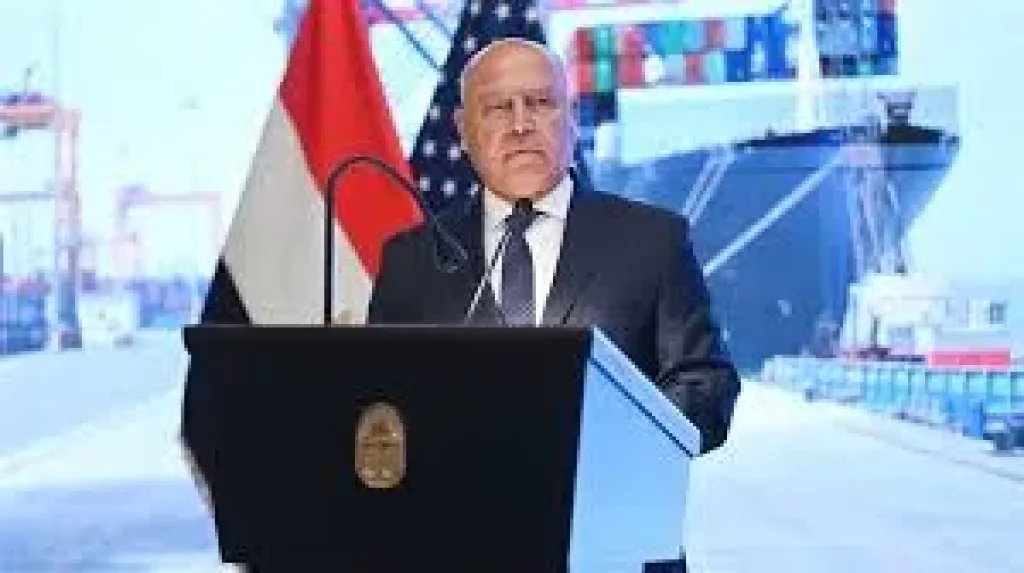الفريق كامل الوزير وزير النقل والصناعة