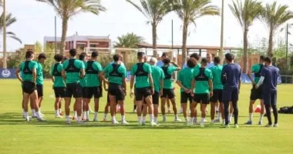 المصري 