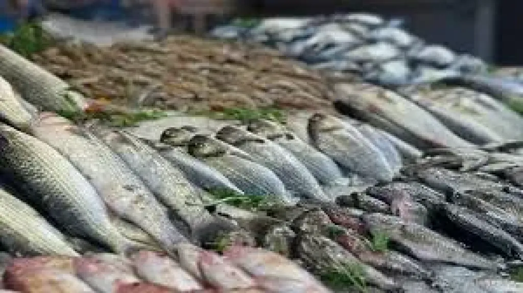 اسعار السمك