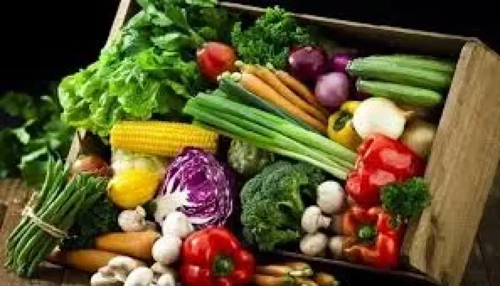 اسعار الضخروات