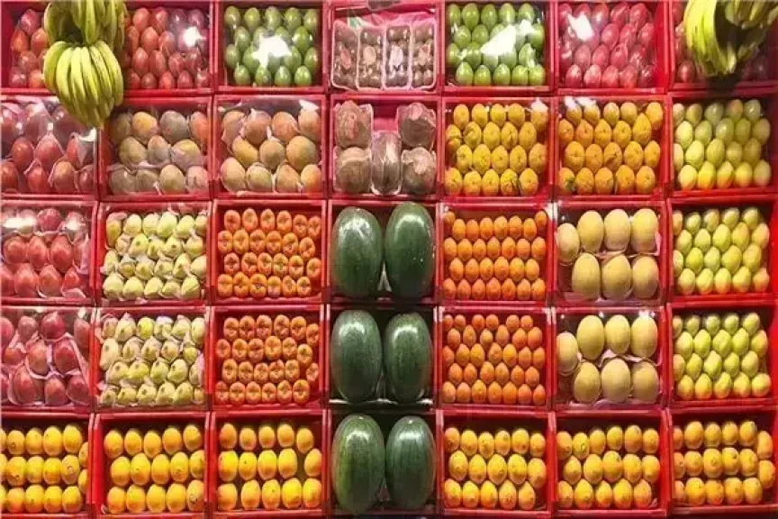 تصدير الخضروات 
