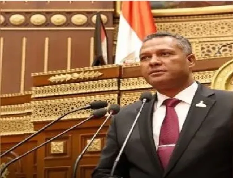 النائب محمد حمزه