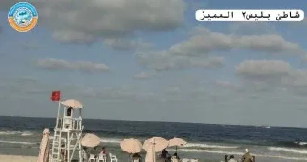 شاطيء 