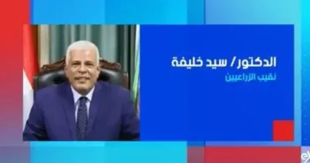 الدكتور سيد خليفة