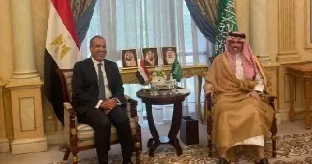 جانب من اللقاء 