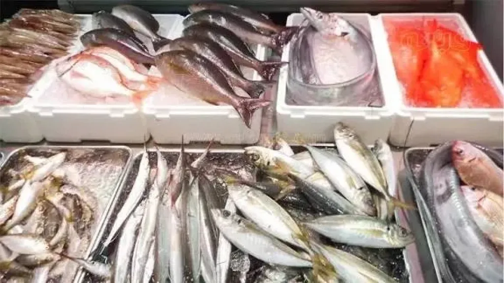 سعر السمك