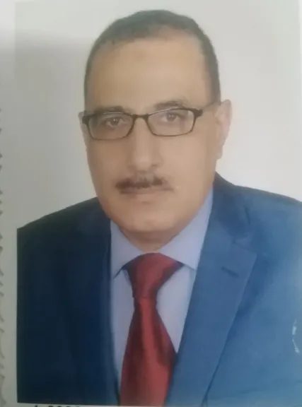 الدكتور أحمد الشناوى خبير الطاقة الجديدة والمتجددة
