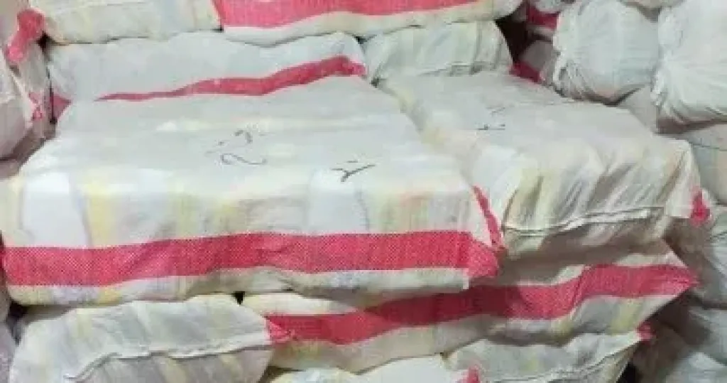 المضبوطات 