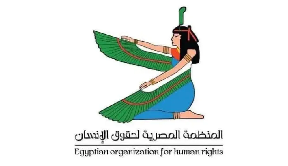المنظمة المصرية لحقوق الإنسان
