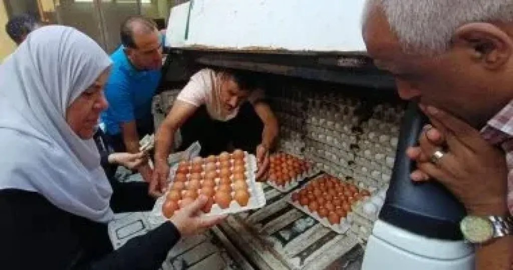 البيض 