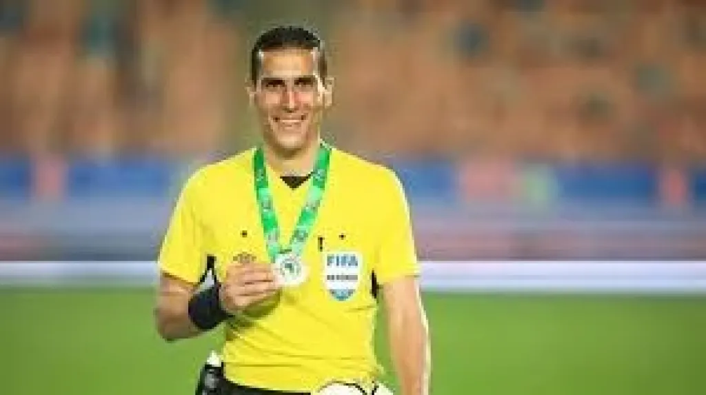 محمود ناجى