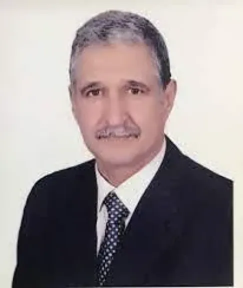  اللواء معز الدين السبكي