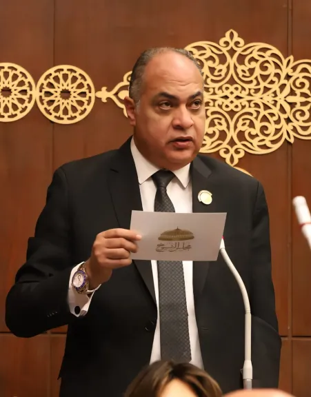 النائب أيمن الهوارى