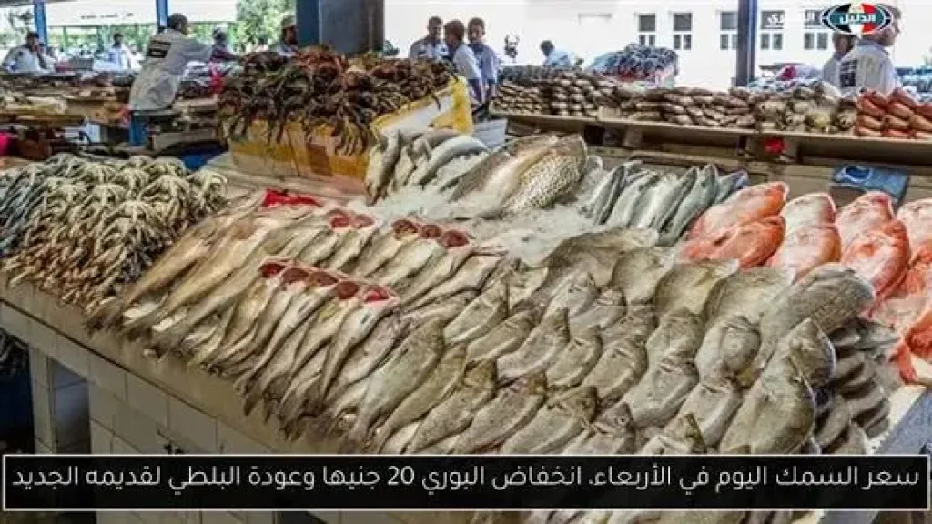 سعر السمك