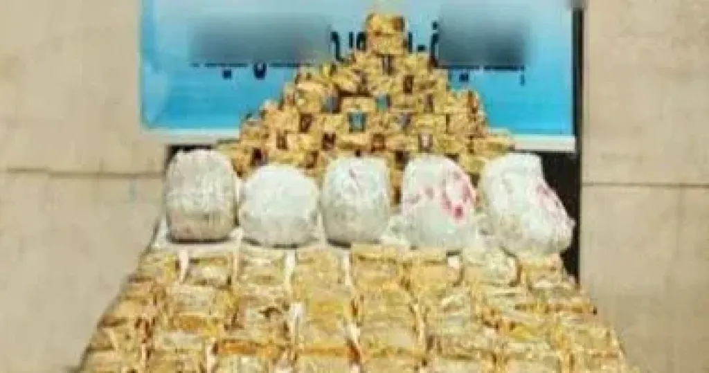 المضبوطات 