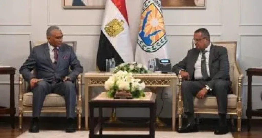 جانب من اللقاء 