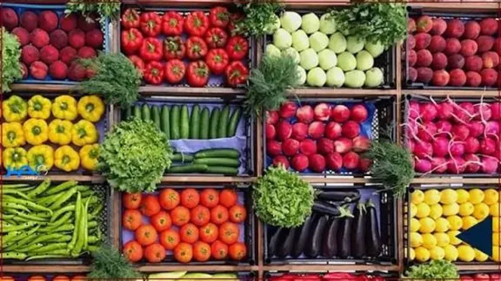 اسعار الخضروات