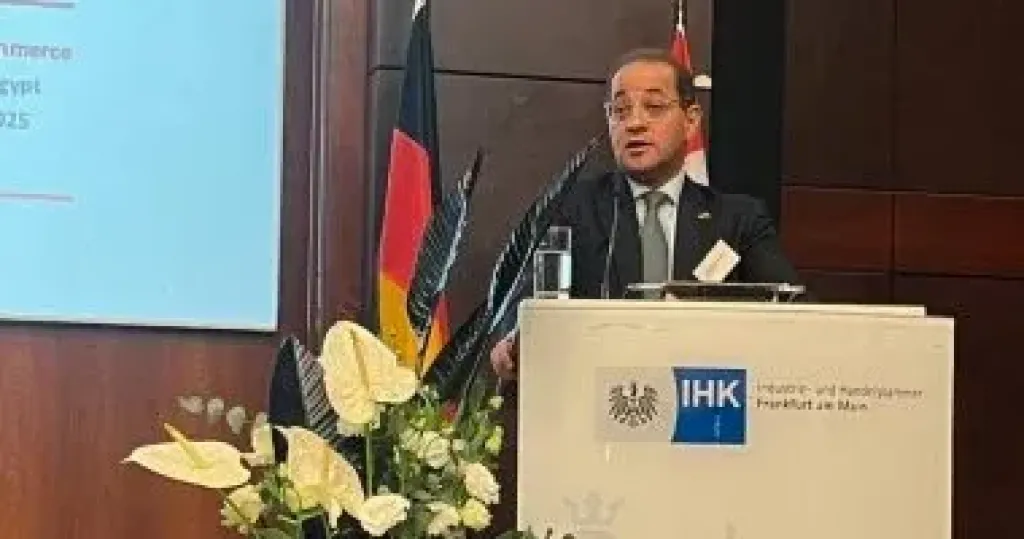 وزير المالية 