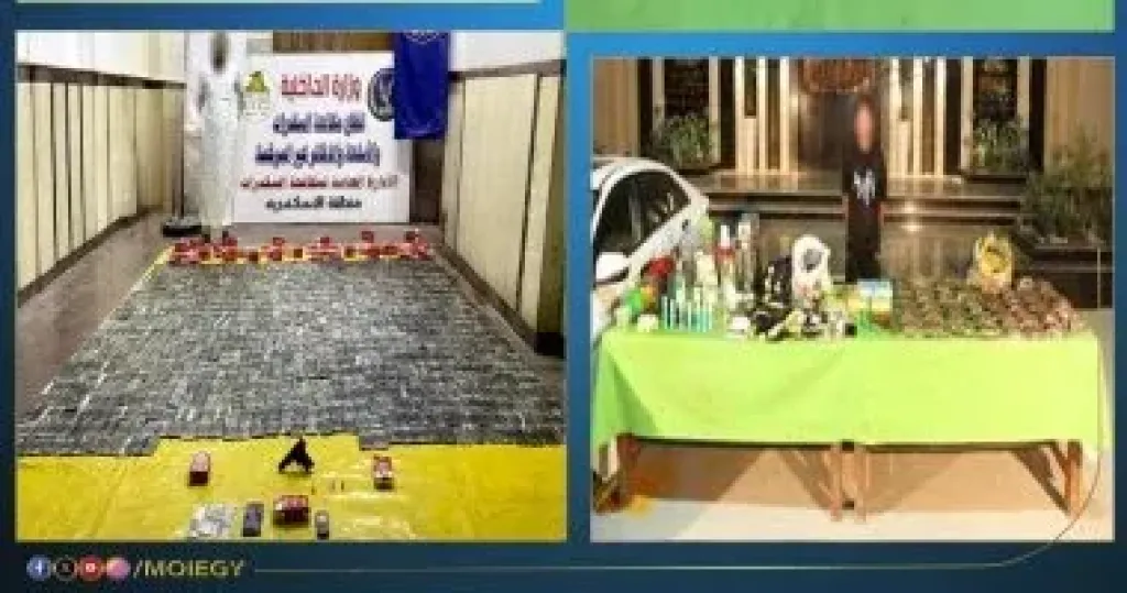 المضبوطات 
