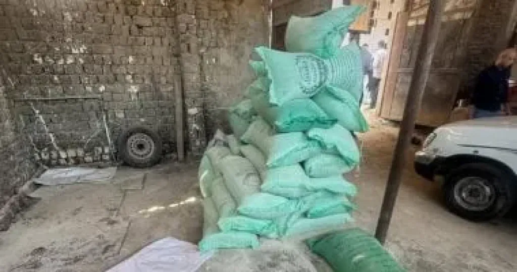 دقيق 