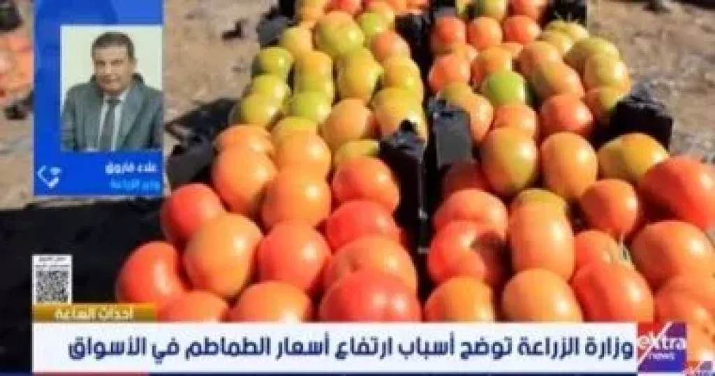 جانب من المداخلة 