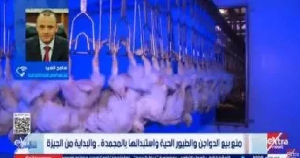 جانب من المداخلة 