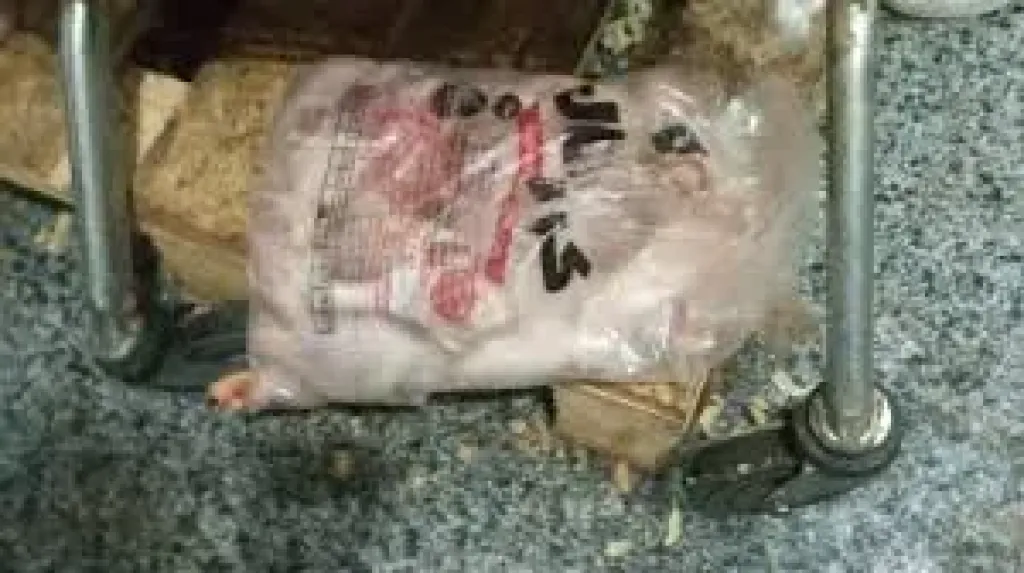 حمله مكثفه