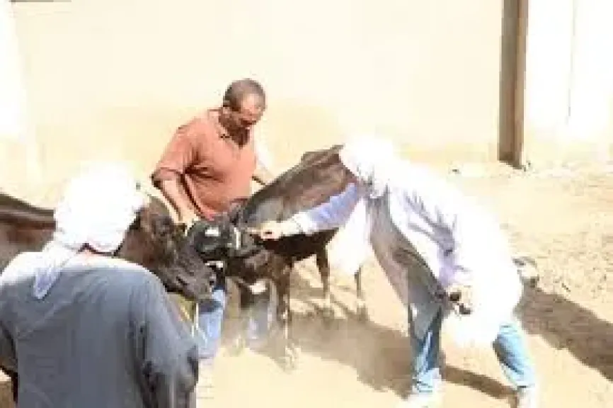 قافله بيطريه