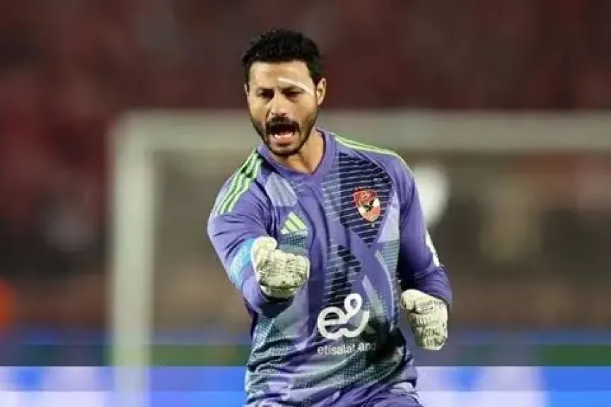 محمد الشناوي