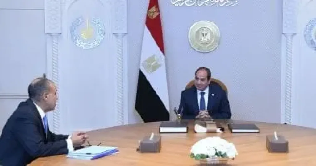 الرئيس السيسى ووزير الخارجية 
