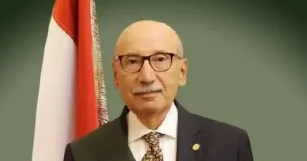 المستشار عاصم الغايش رئيس مجلس القضاء الأعلى