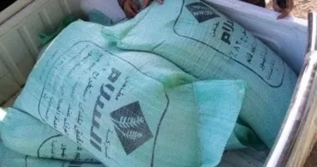 دقيق 