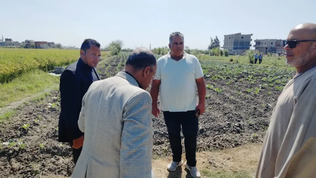 وكيل زراعة البحيرة 