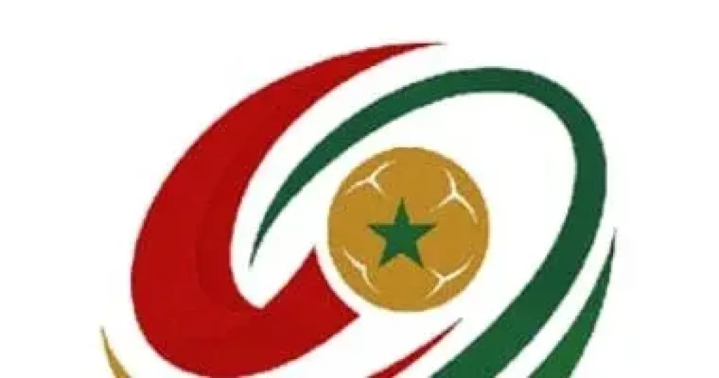 كرة اليد 