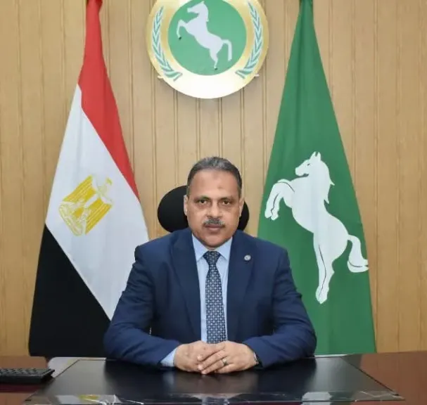 محافظ الشرقية 