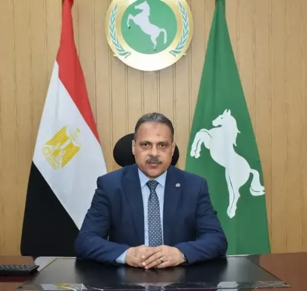 محافظ الشرقية