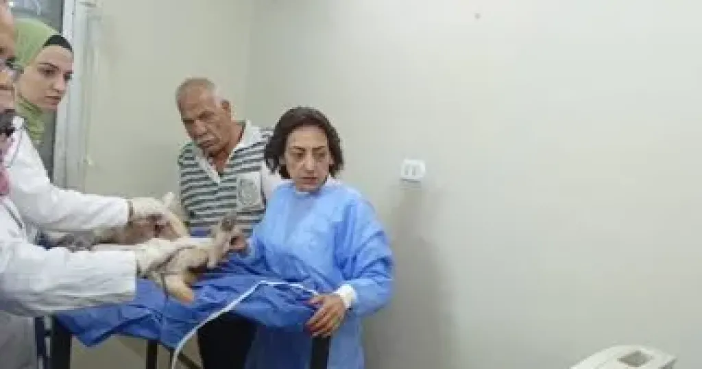 جانب من الفعاليات 