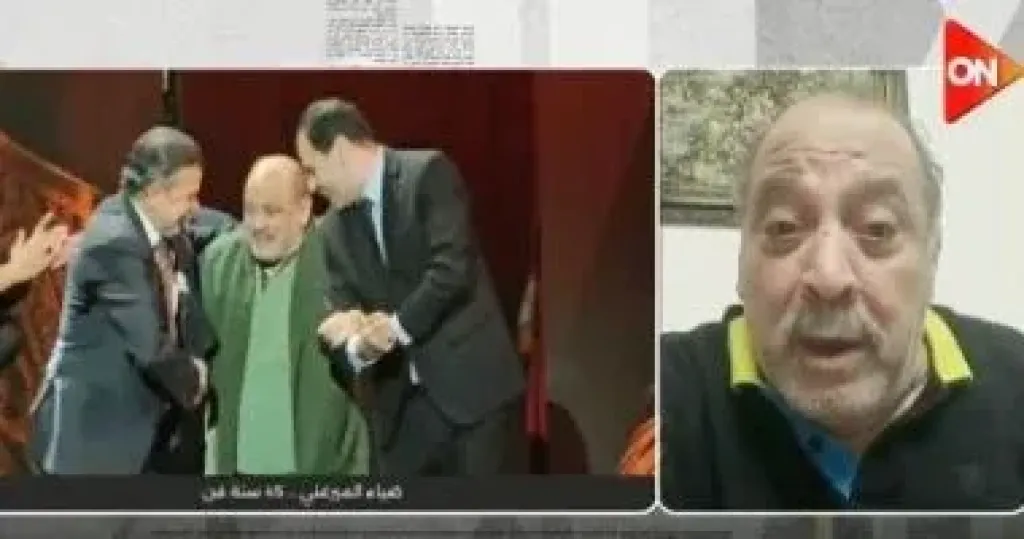 ضياء الميرغني