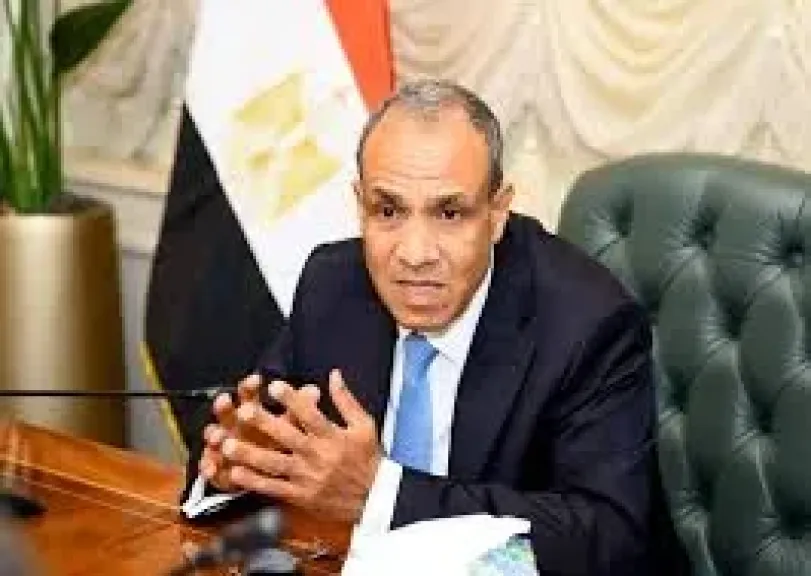 بدر عبد العاطي..وزير الخارجية
