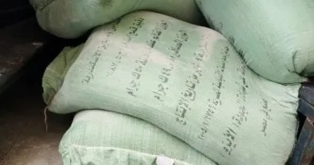 دقيق 