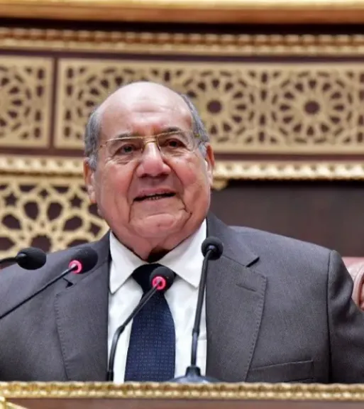 رئيس مجلس الشيوخ المستشار عبدالوهاب عبدالرازق