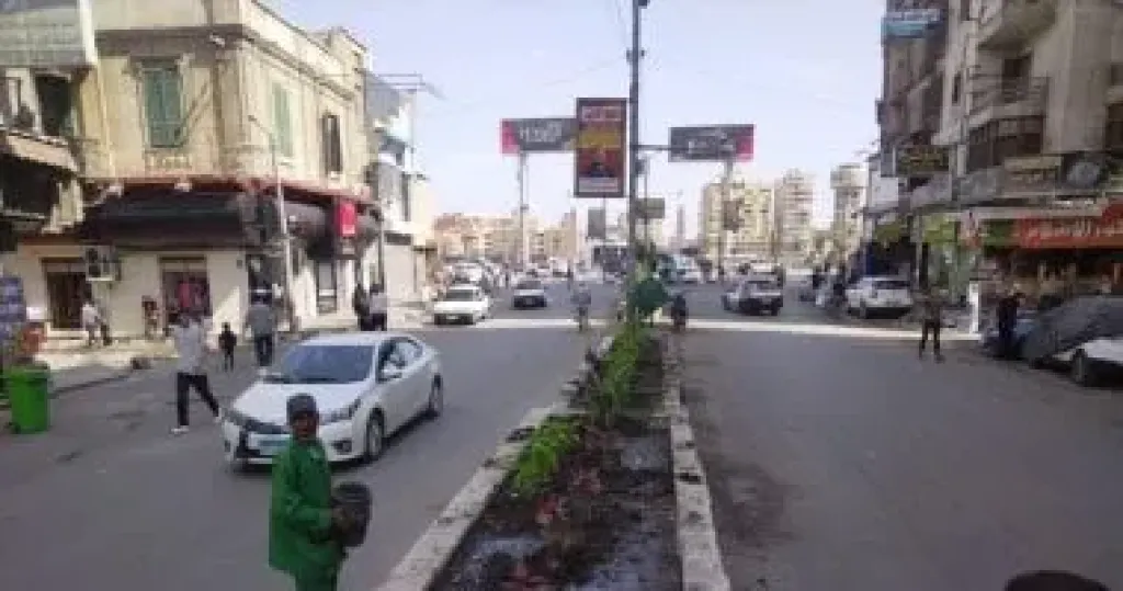 زراعة اشجار 