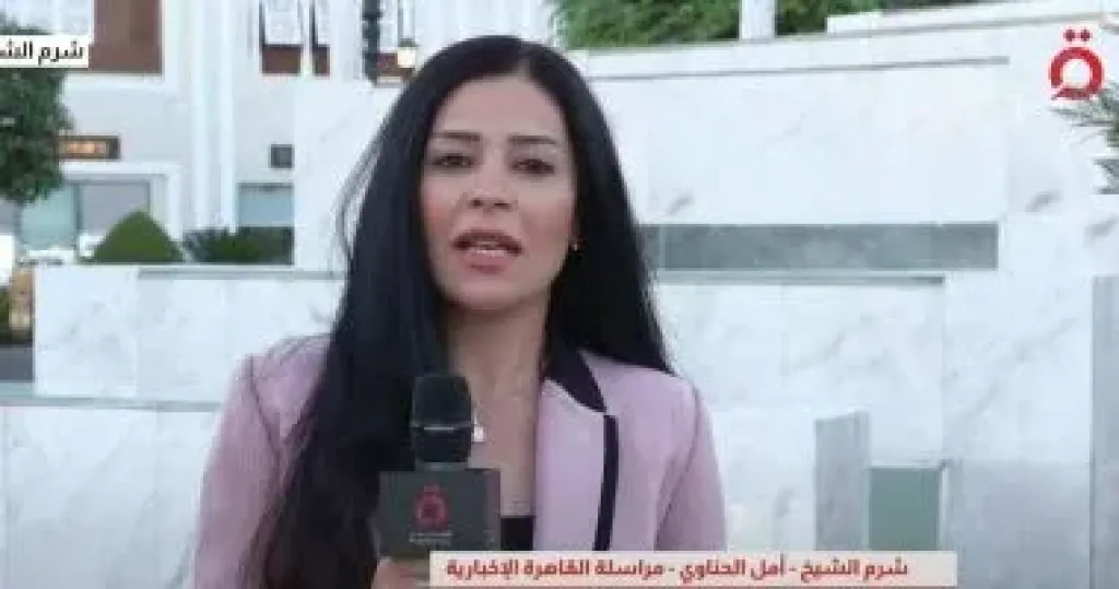 أمل الحناوي 