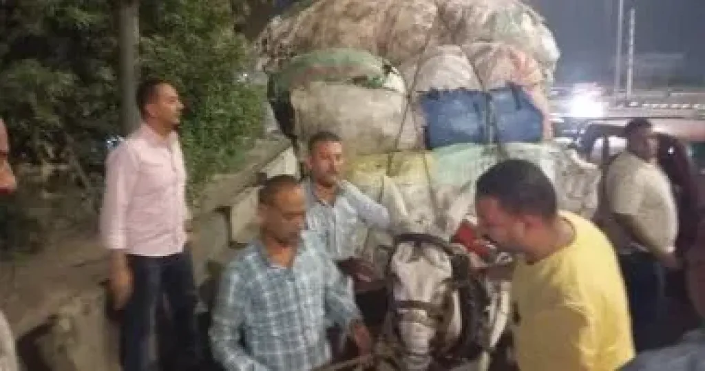 جانب من الحملات 