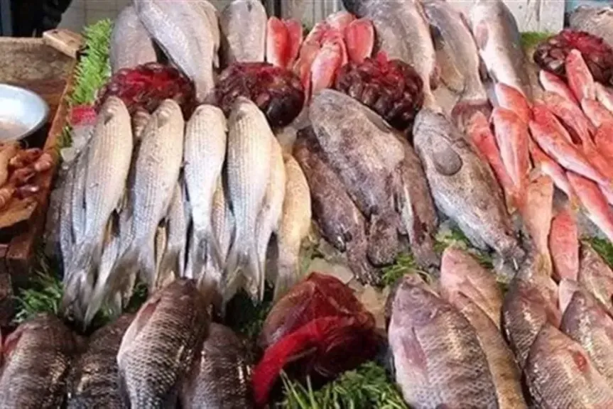 أسماك 