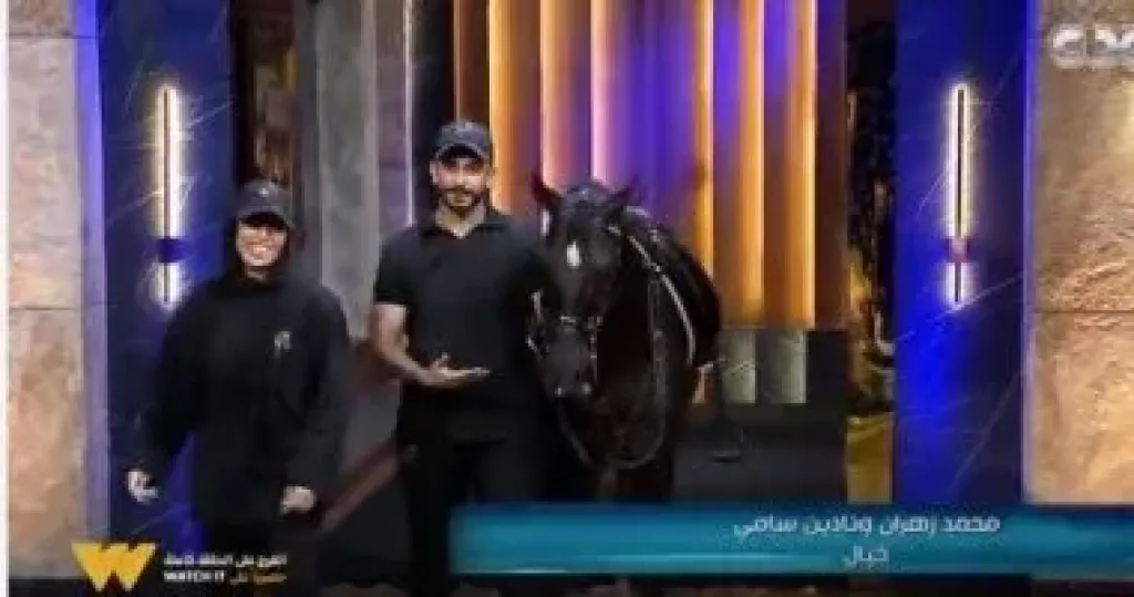   برنامج Shark Tank 